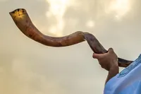 Yemenite Horn - Large 60 -70 cm – Image 2