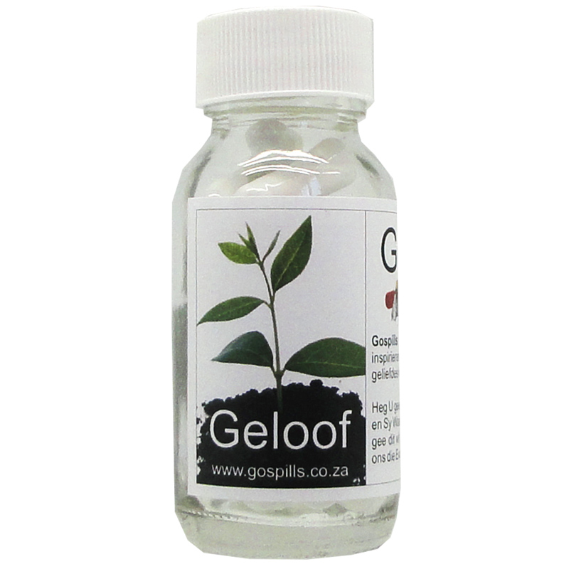 Gospills Afrikaans – Geloof