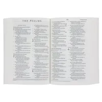 Bible – ESV – Compact Bible Lion – Image 3