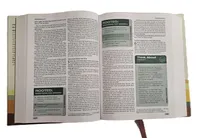 Bible – NIV – Rooted Bible for Men – Image 4