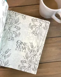 Bible – NLT – One Year Bible Expression – Image 4