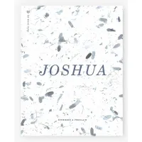 Book – Joshua - Women's Reading Guide: Remember and Proclaim – Image 1