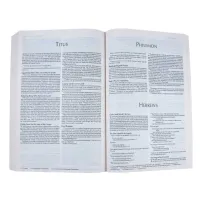 Bible – NIV – Economy Bible – Image 4