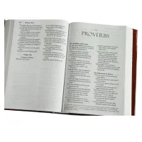 Bible – Amplified - Holy Bible Large Print (Hardcover) – Image 3