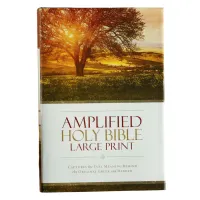 Bible – Amplified - Holy Bible Large Print (Hardcover) – Image 1