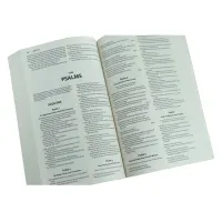 Bible - Amplified Outreach – Image 3