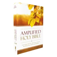 Bible - Amplified Outreach – Image 2