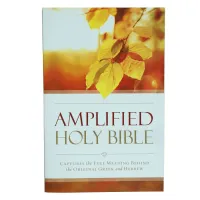 Bible - Amplified Outreach – Image 1