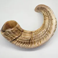 Rams Horn - Jumbo – Image 1
