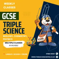 GCSE Triple Science Weekly Tuition Classes – Image 1