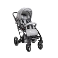 Coche De Traslado Hippo + – Image 1