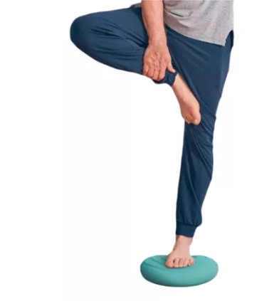 Bosu Vestibular Disc B-Core – Image 1