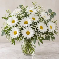 Classic Daisy Dream – Image 1