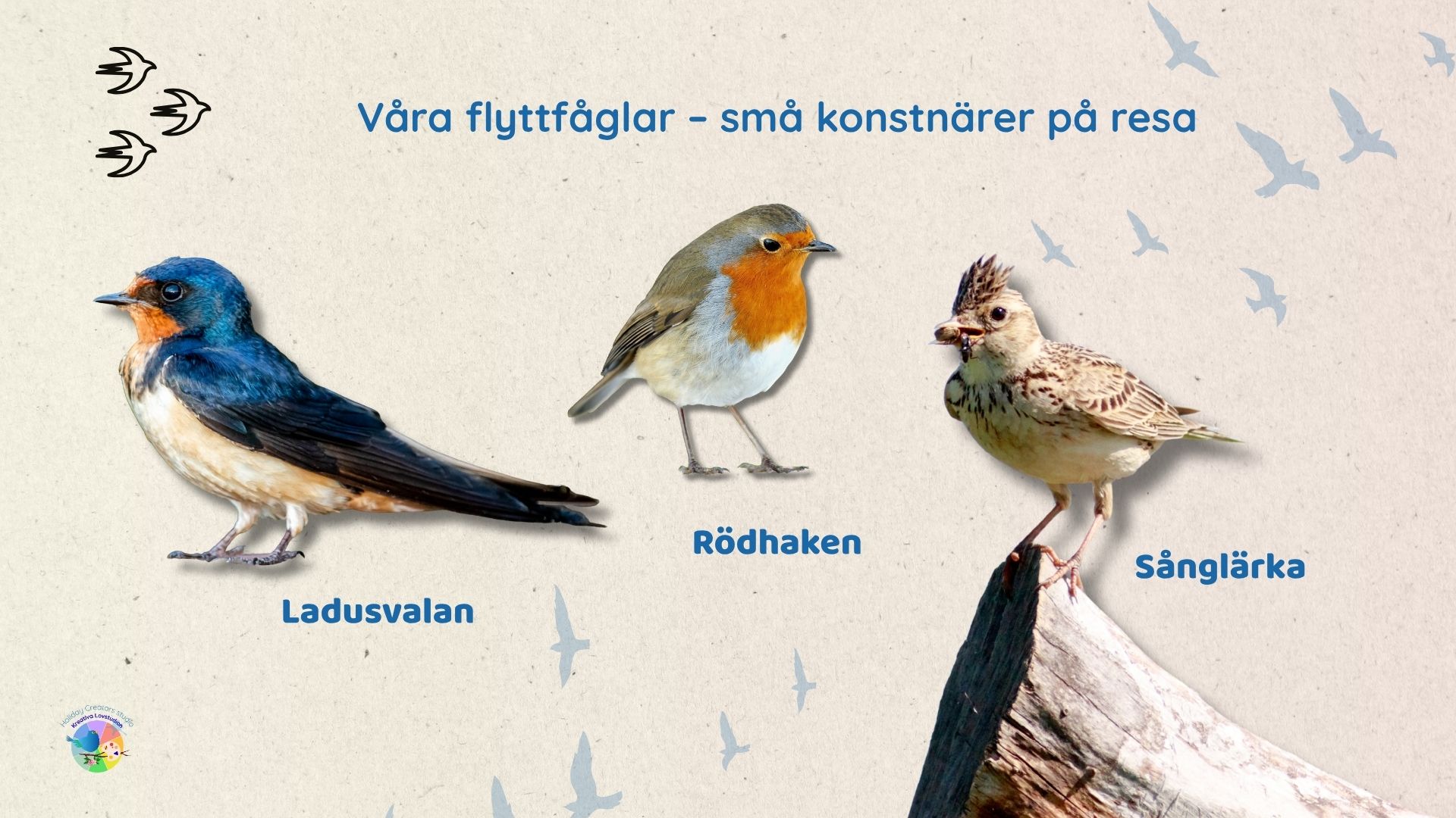 Våra flyttfåglar – små konstnärer på resa – Image 4