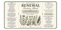 Renewal Herbal Tincture – Image 3