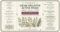 Gram-Negative Active Phase Herbal Tincture – Image 3