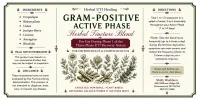 Gram-Positive Active Phase Tincture Blend – Image 3