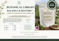 Balance & Restore Tea – Image 2