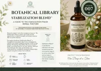 Stabilization Herbal Tincture – Image 3