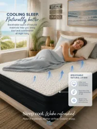 Florida Naturals Gulf Coast Hybrid – Image 1