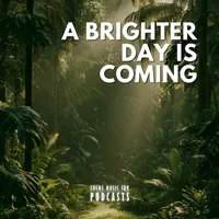 A Brighter Day is Coming – Image 1