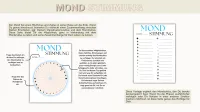 Mond Journal & Lunar Manifestation Planer Pastel Spring Digital Download – Image 2