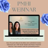 Trauma-Informed Care and Somatic Practices for the Perinatal Population – Image 1