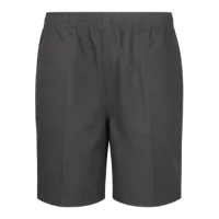 Boy's Grey Shorts – 18