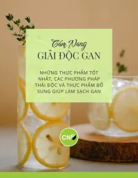 Cẩm nang thanh lọc toàn diện – Image 3