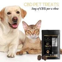 CBD Pet Treats – Image 1