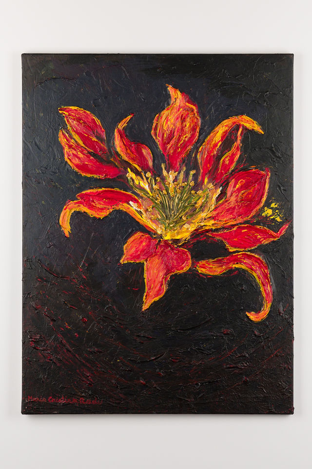 CRINUL DE FOC – Image 10