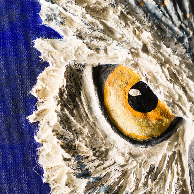 THE NIGHT'S GAZE – Image 5