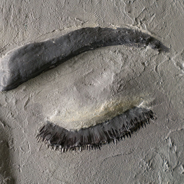 SIMBIOZA LUNII – Image 3