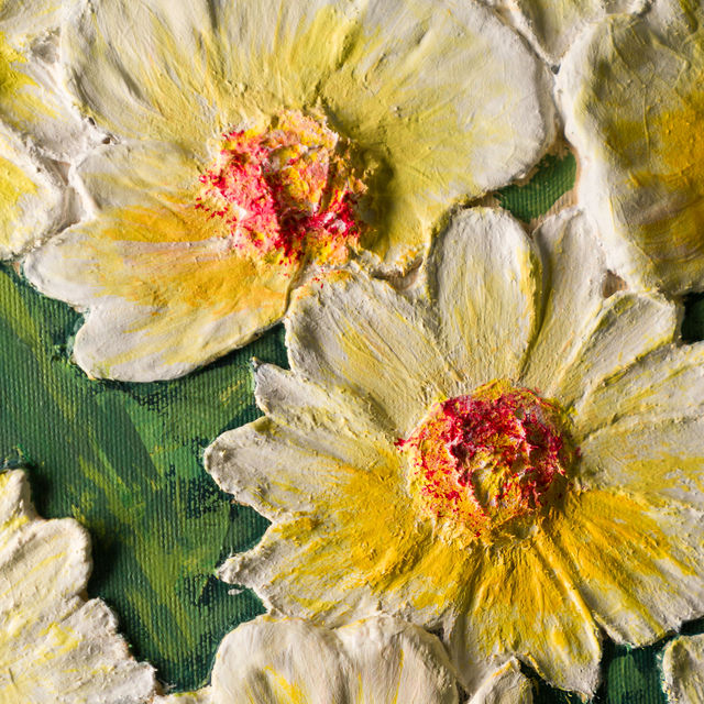 DAISY ON THE WATER – Image 5