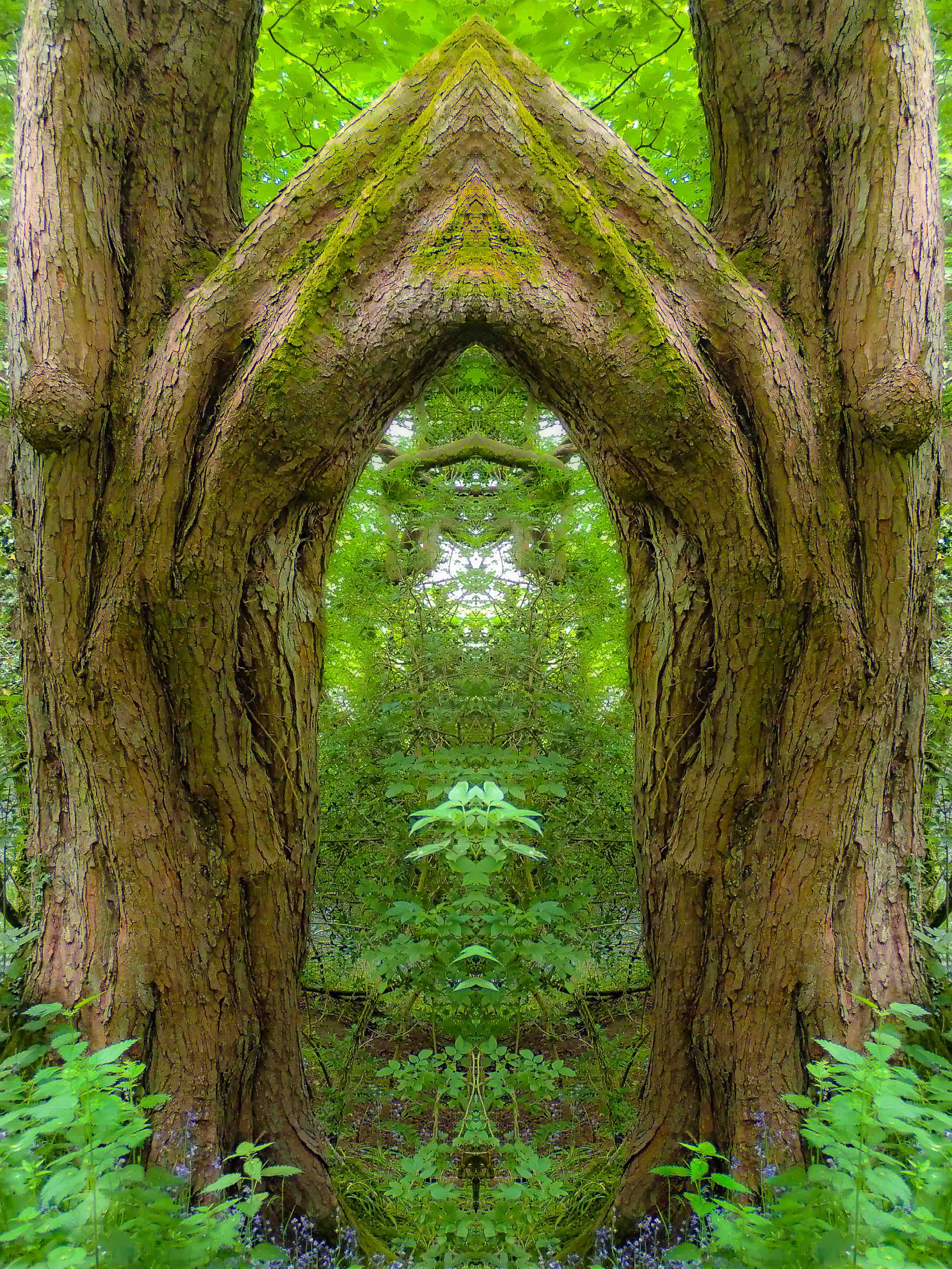 Porten til den andre siden -The gate to the other side – Image 1