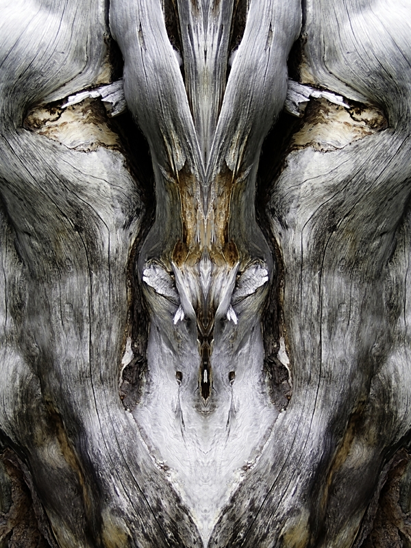 Forfedre -Ancestors – Image 1