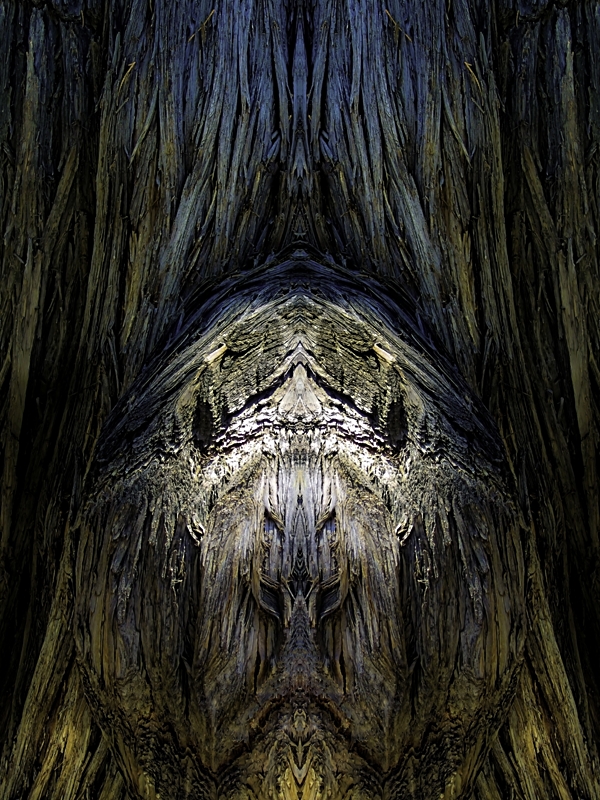 Den som obsaverer -The one who observes – Image 1