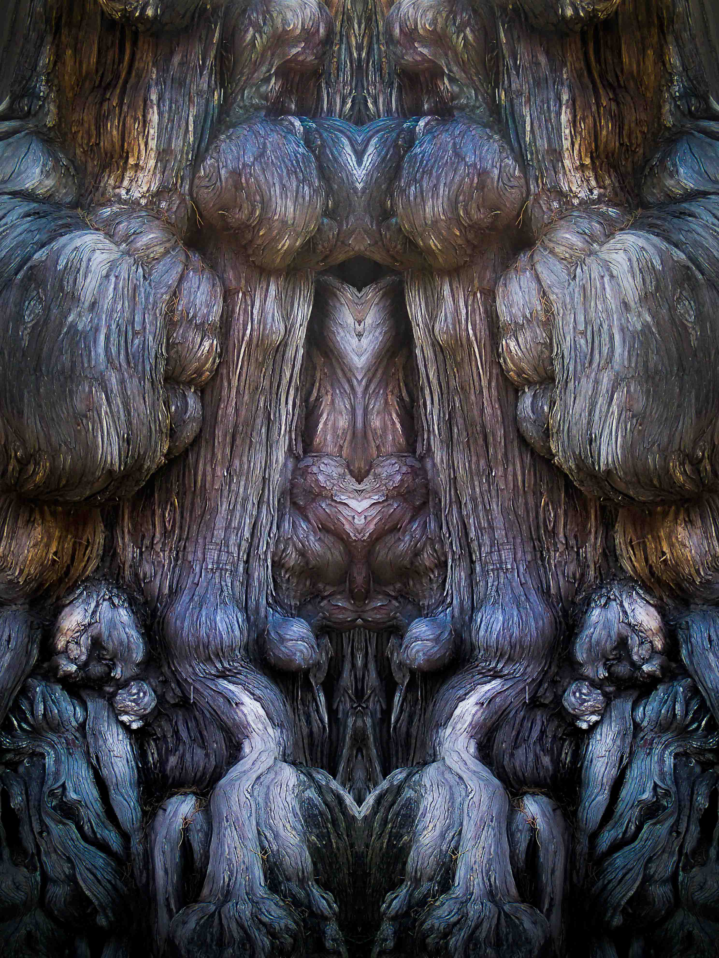 Troll – Image 1