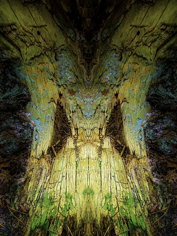 Den subtile – Image 1