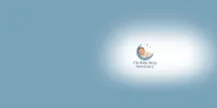 The Baby Sleep Sanctuary $100 Gift Card – Image 1