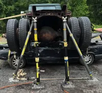 Principles of Lifting and Stabilization  – Image 1