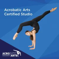 Acro- 1 Day Workshop – Image 1