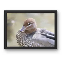 Waterside Calm – Image 1
