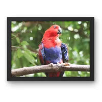 Crimson Outlook – Image 1