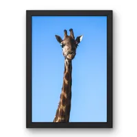 Sky High – Image 1