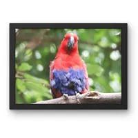 Crimson Confidence – Image 1