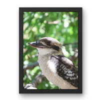 Bushland Watch – Image 1