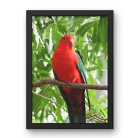 Crimson Majesty – Image 1