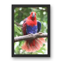 Crimson Display – Image 1