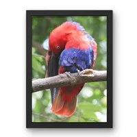 Crimson Reverie – Image 1